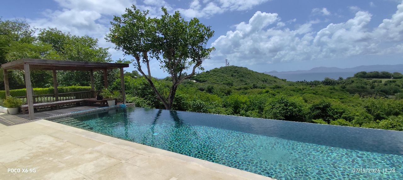 Hillside infinity pool overlooking the Grenadines