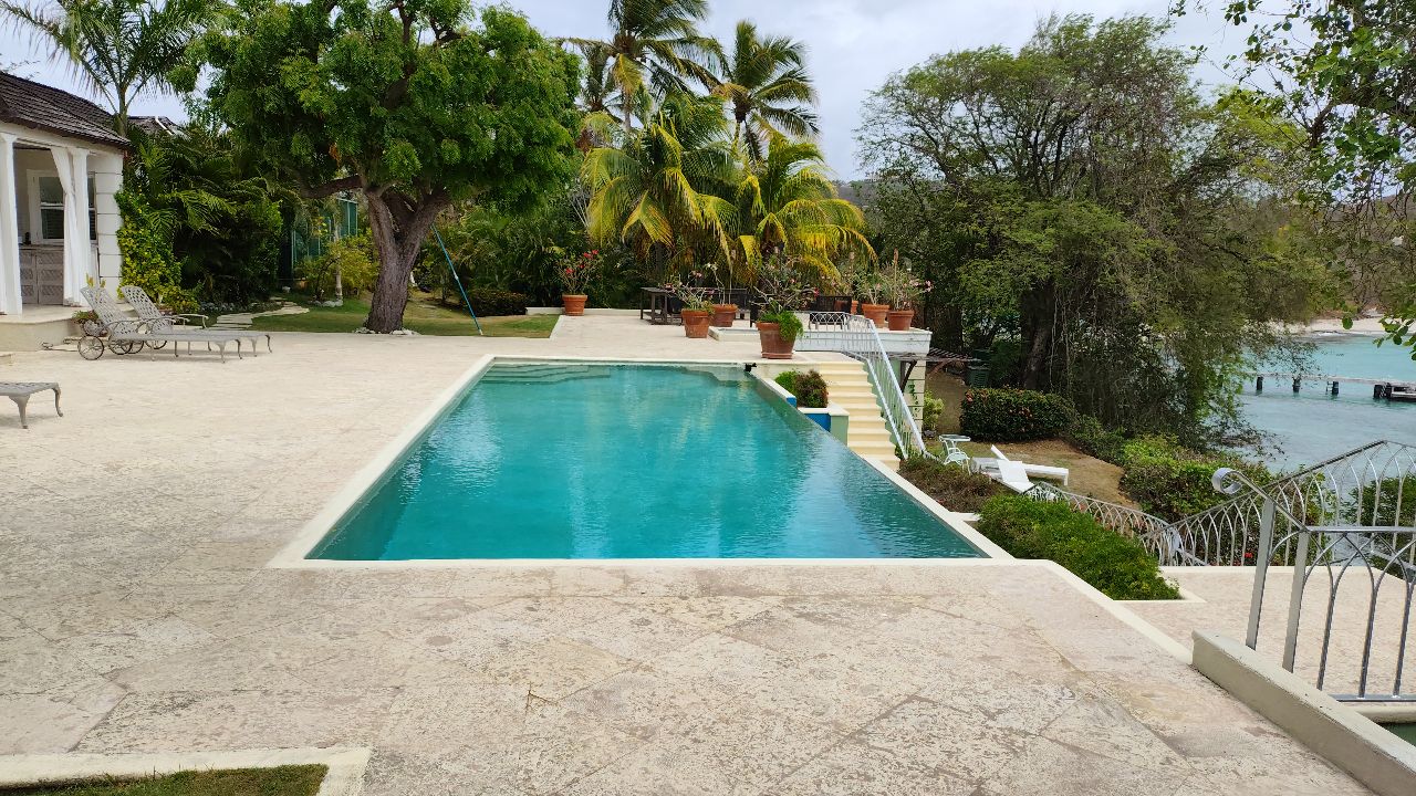 Green pool water before treatment